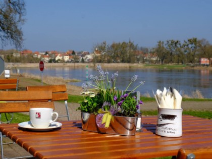 Photo: Elbterrasse Wörlitz